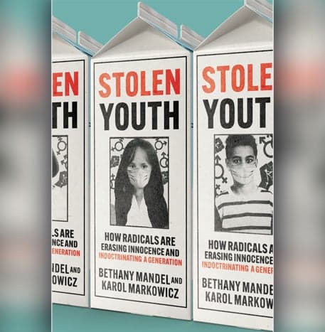 Cover Image for Stolen Youth