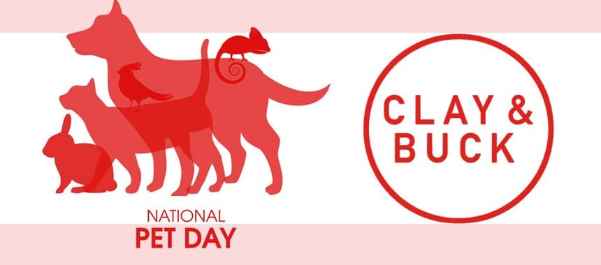 Cover Image for Send Clay & Buck Photos of Your Fur Babies for National Pet Day