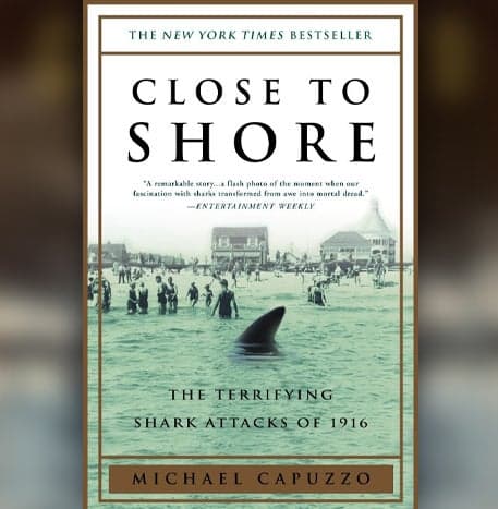 Cover Image for Close to Shore