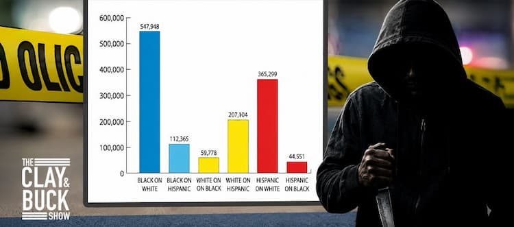 Shocking Interracial Crime Chart: Black-on-White Violence Nearly 10x Higher Than White-on-Black
