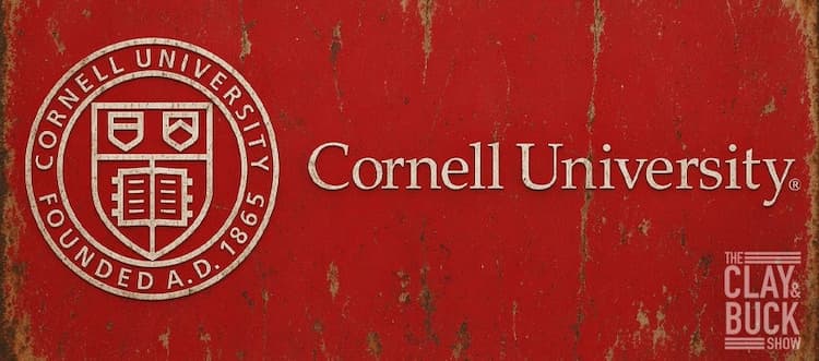 Cornell 7: Why the Original Evidence Doesn’t Support Rape Charges